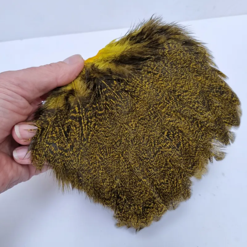 Whiting Coq de Leon Hen Saddle in Speckled Yellow-6